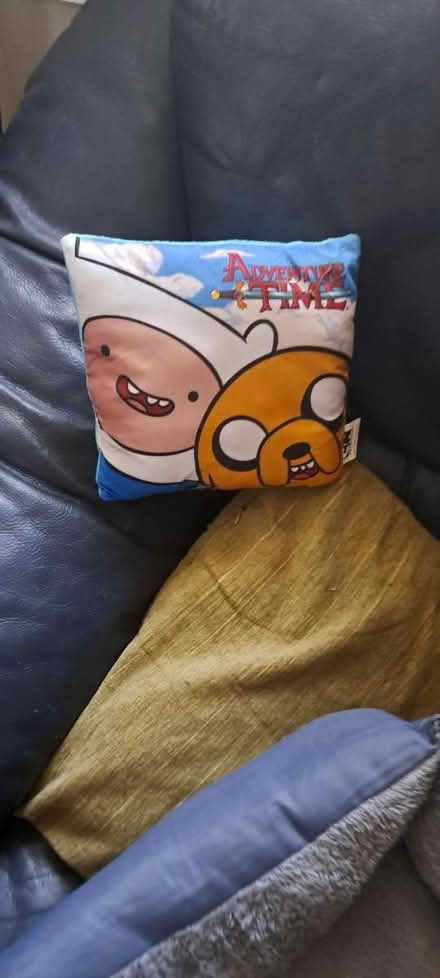Photo of free 20cm adventure time cushion (CR0) #1