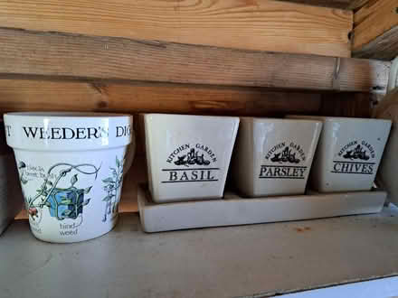 Photo of free Gardening Stuff (Barrow-in-Furness LA14) #1