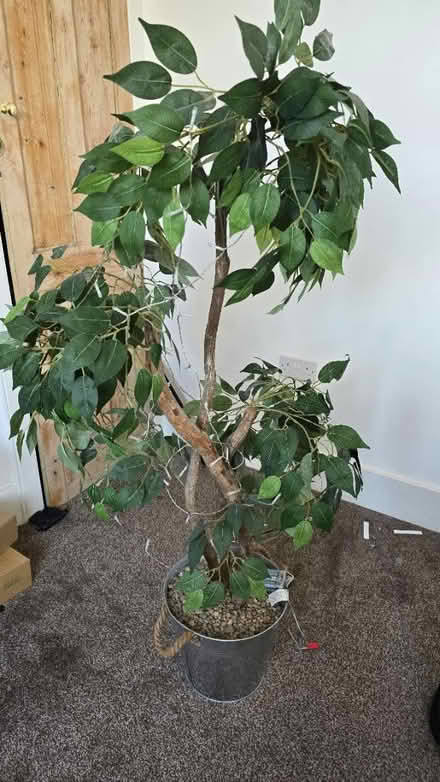 Photo of free Fake plant tree decoration (Slade Green DA8) #1