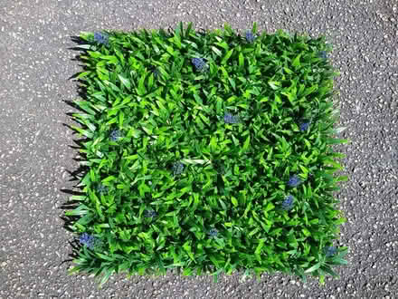 Photo of free Plastic Artificial Grass (St Austell) #1
