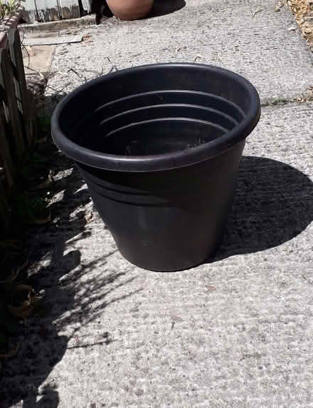 Photo of free Extra Large Plastic Flower Pot (Barton OX3) #1