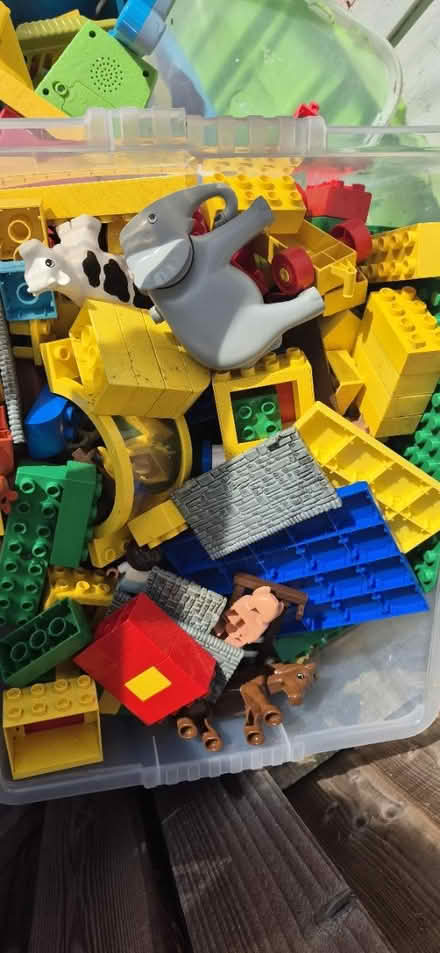 Photo of free Duplo (Stretford) #1