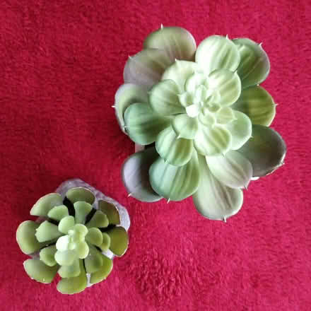 Photo of free Two small artificial plants (OX1 South Oxford) #1