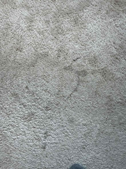 Photo of free 2m x 3m Large Rug (CT17) #3