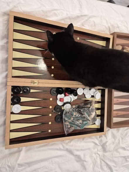 Photo of free Backgammon/chess/drafts (Mansfield Road NW3) #1