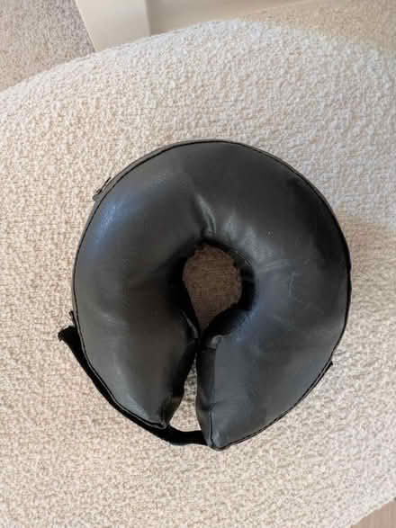 Photo of free Inflatable collar (Hucclecote Meadows GL3) #1