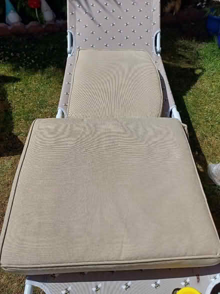 Photo of free Out side chair cushions (Randlay TF3) #1