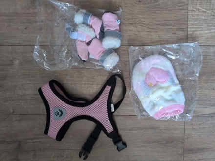 Photo of free Dog Items (Eltham SE9) #1