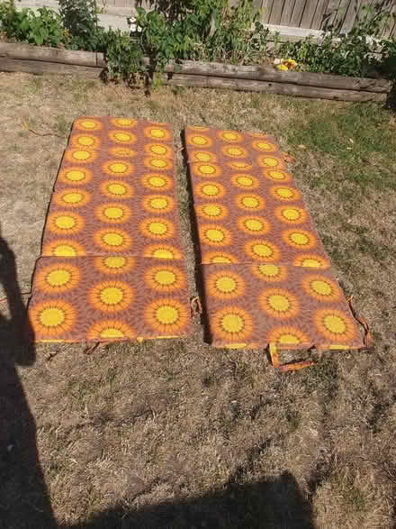 Photo of free Seat cushions (Welling DA16) #1