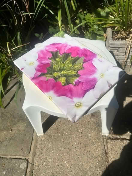 Photo of free Wall art (rochford) #1