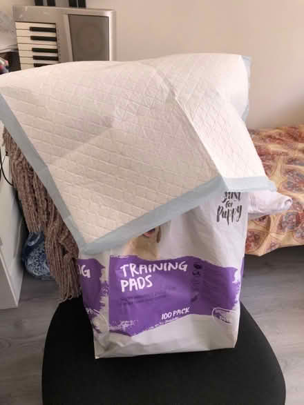 Photo of free Puppy training pads (Kingston KT1) #1