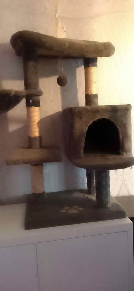 Photo of free Cat Tree (Coventry CV2) #2