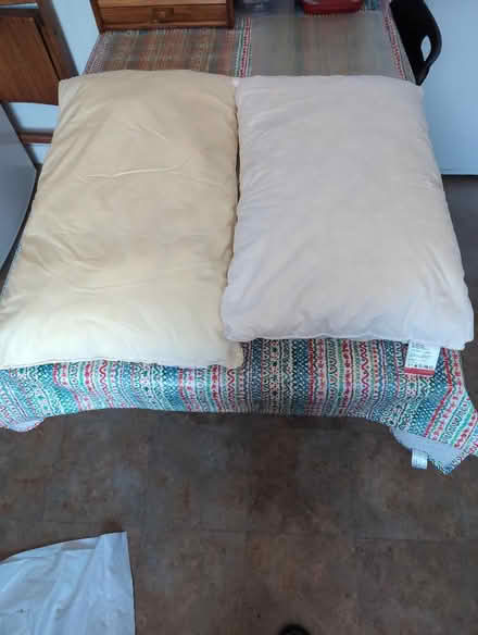 Photo of free Two pillows (Notting Hill W11) #1