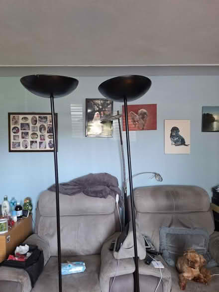 Photo of free Tall lamps (CH61) #2
