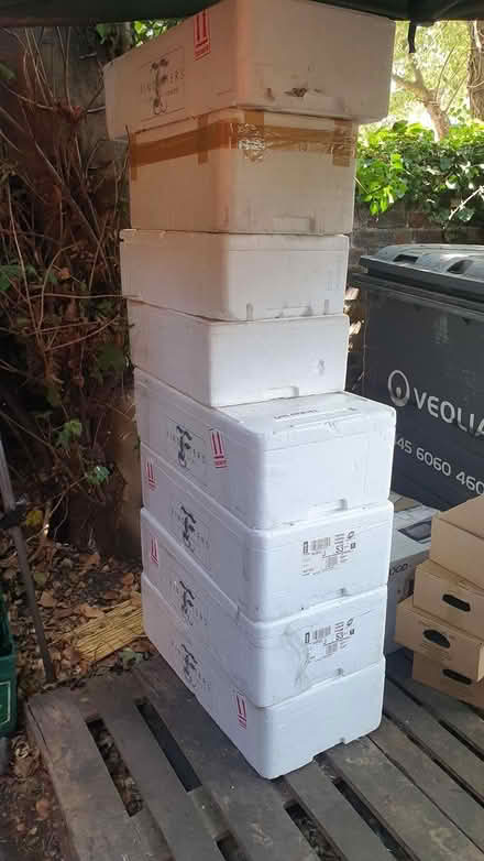 Photo of free Large polystyrene cool boxes (Beech road, chorlton) #1