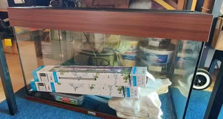 Photo of free 3 glass fish tanks/aquariums (Bexleyheath DA1) #1