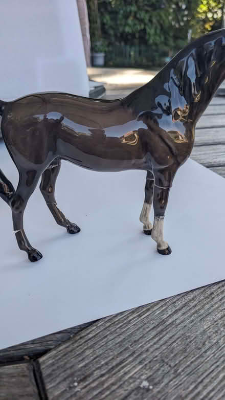 Photo of free Animal Rescue 4 damaged Beswick Animal figures (Camberley GU15) #4