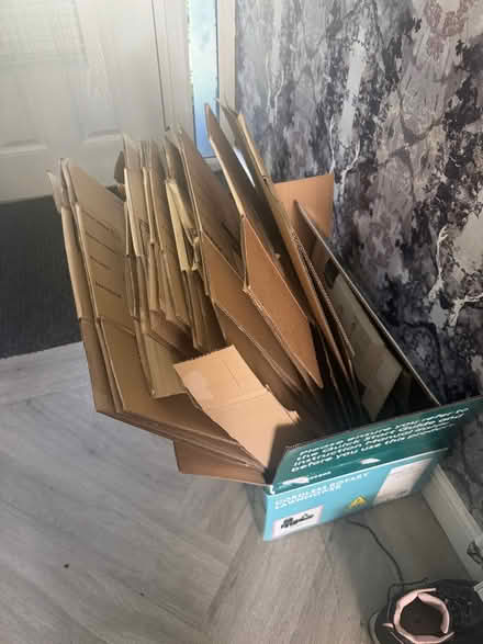 Photo of free Moving boxes (Williamson Park LA1) #1