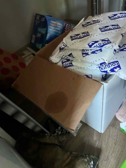 Photo of free Ice packs (Kirkland drive Sunnyvale) #1