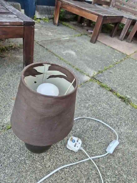 Photo of free Table lamp (Clerwood EH12) #3