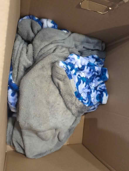 Photo of free Weighted blanket (Kingstown) #1