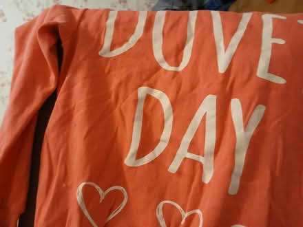 Photo of free hoodie (Little Carleton FY3) #1