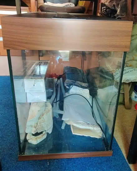 Photo of free 3 glass fish tanks/aquariums (Bexleyheath DA1) #2