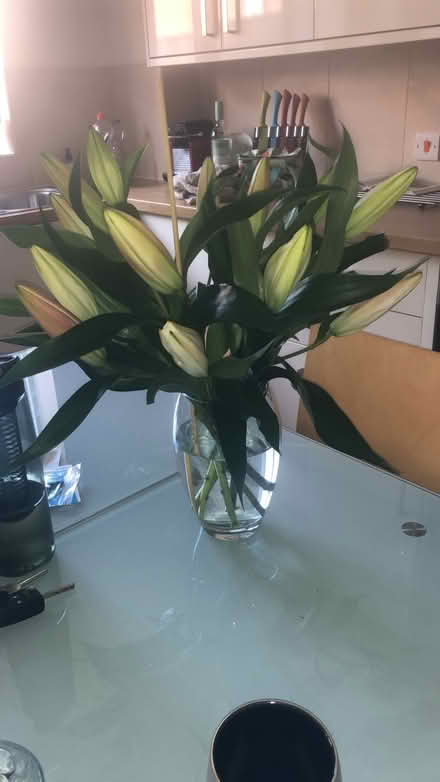 Photo of free Glass top kitchen table (Allestree, DE22) #1