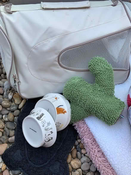 Photo of free Cat items. Small dog ramp (Charlton) #1