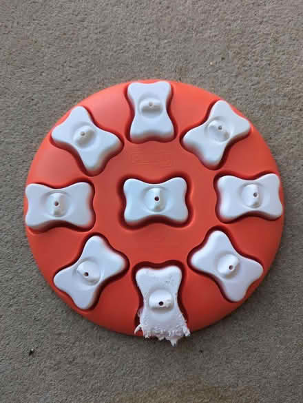 Photo of free Dog feeding puzzle (Norton Lees S8) #1