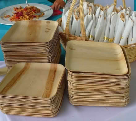 Photo of Disposable Bamboo plates (Elephant / Walworth - SE17) #1