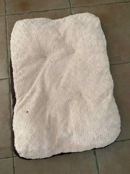 Photo of free Dog bed (for craft purposes?) (Bussage GL6) #1