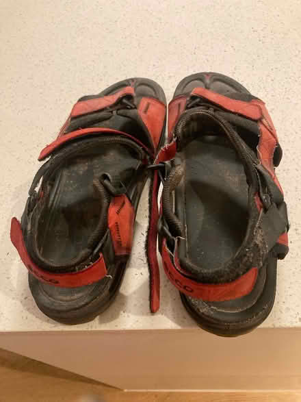Photo of free Red size 41 Ecco sandals (Acton W3) #1