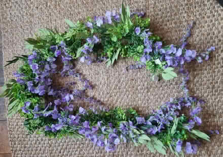 Photo of free Plastic wisteria flowers (Lewisham SE13) #1