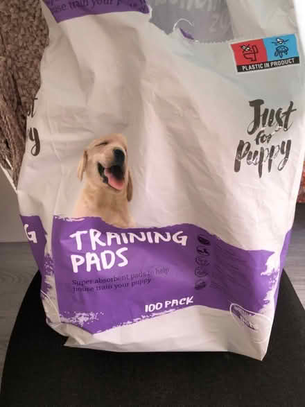 Photo of free Puppy training pads (Kingston KT1) #2