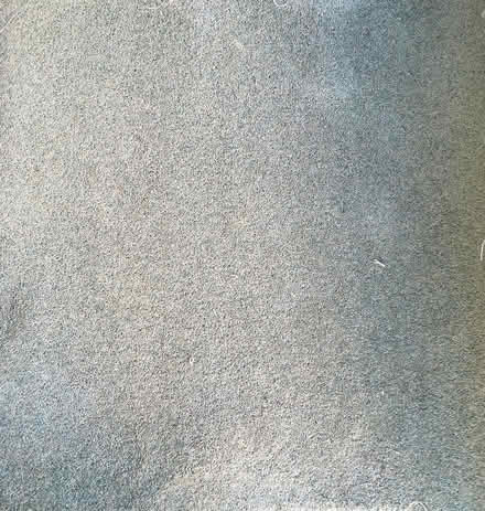 Photo of free Un-used carpet (Manor House N4) #1