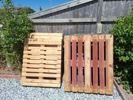Photo of free 4 x Pallets Good Condition (Seaside BN23) #1