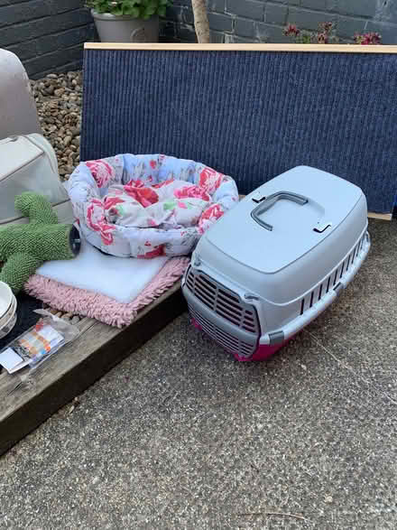 Photo of free Cat items. Small dog ramp (Charlton) #2