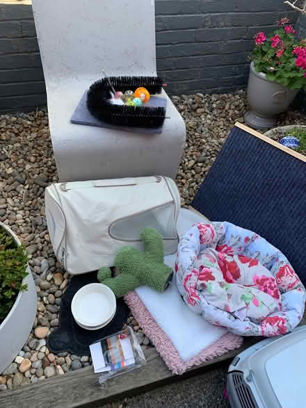 Photo of free Cat items. Small dog ramp (Charlton) #3