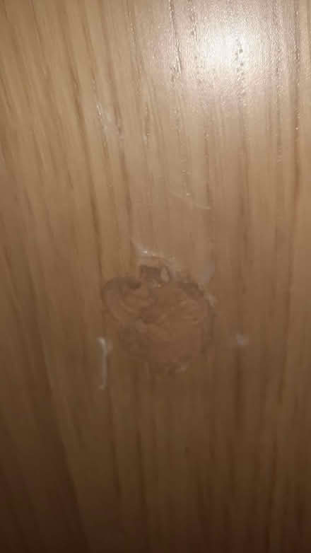 Photo of free Ikea table but needs fix (Shadwell E1) #1