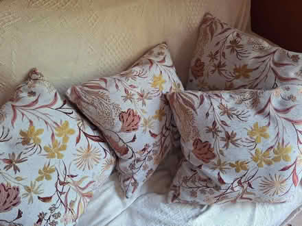 Photo of free Cushions (Royal Leamington Spa CV32) #1