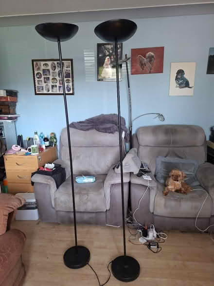 Photo of free Tall lamps (CH61) #1