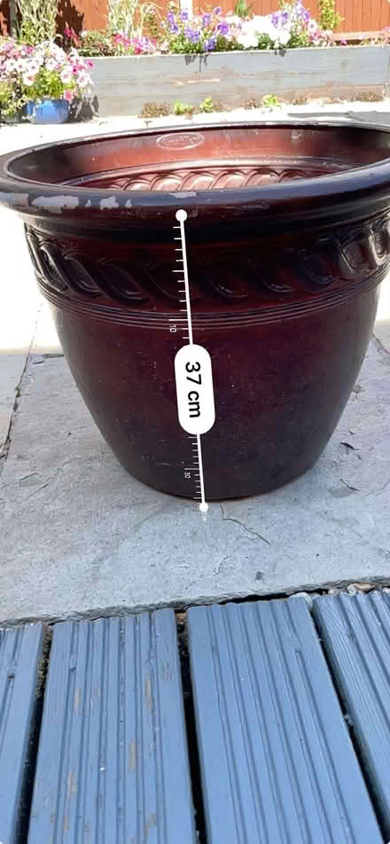 Photo of free Plastic flower or small tree pot (Old Dean GU15) #1