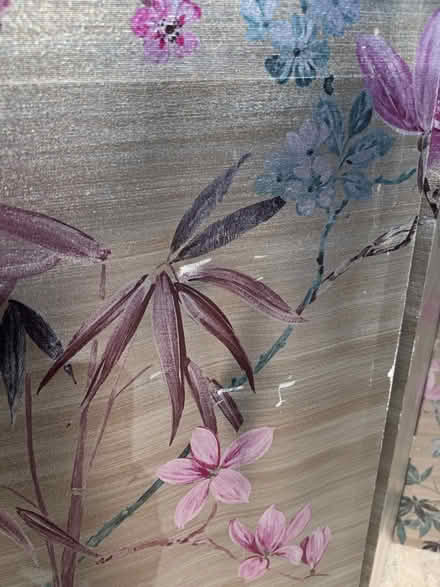 Photo of free Folding screen (Morden, SM4) #2