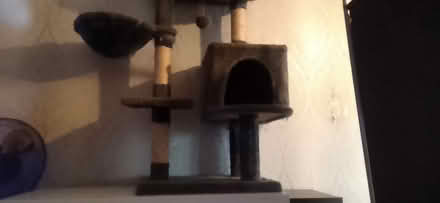 Photo of free Cat Tree (Coventry CV2) #1