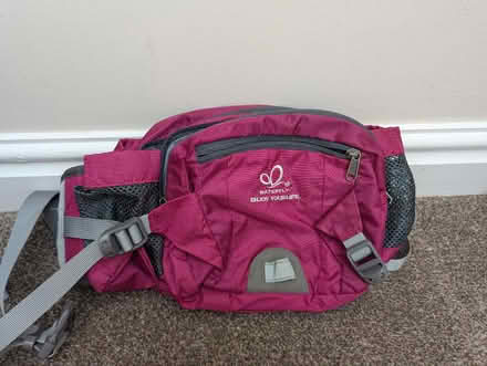 Photo of free Large bum bag (Lower Penwortham PR1) #1