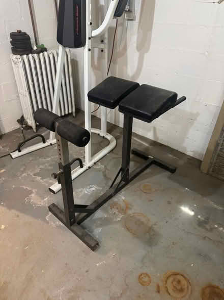 Photo of free Exercise Roman Chair (South Arlington) #1