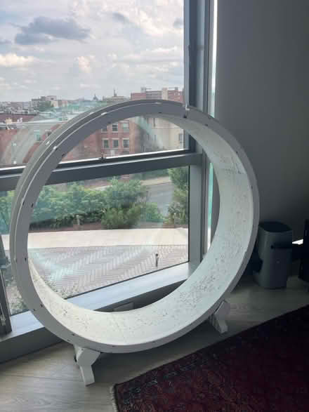 Photo of free Cat toy (Adams Morgan/ DuPont Circle) #1