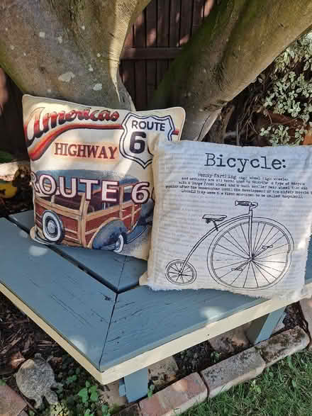 Photo of free 2 quirky cushions (Windsor SL4) #1