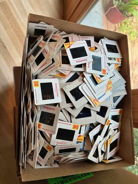 Photo of free grand array of slides (village of pelham) #1